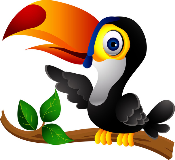 Tukan ptáka kreslený prezentace - Vektor, obrázek