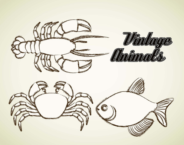 Animales marinos
 - Vector, imagen