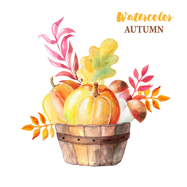 Watercolor hand painted orange pumpkins, mushrooms and branches in wooden basket. Autumn nature composition isolated on white. Perfect for card making - Photo, Image