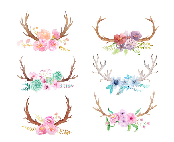Set of hand painted watercolor flowers, leaves, antlers and berry in rustic style. Boho rustic composition perfect for floral design projects - Fotoğraf, Görsel