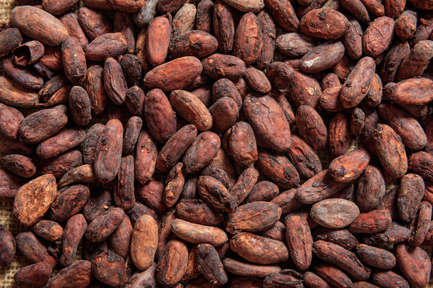 Kakaobohnen als Hintergrund - Foto, Bild