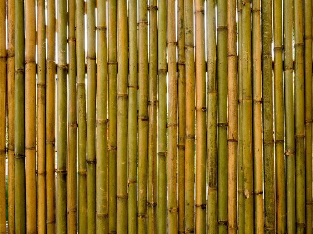 ビンテージの垂直方向の茶色と緑色の竹フェンス テクスチャ背景. - 写真・画像