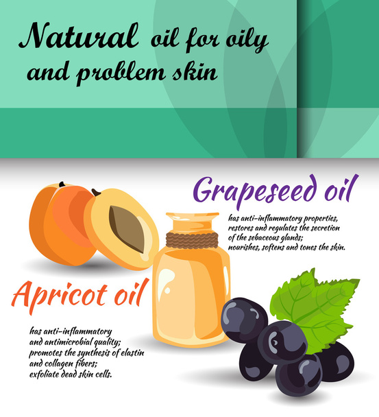 care for oily skin vector illustration - Vector, Imagen