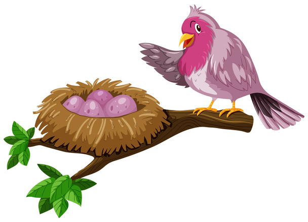 Πουλί και πουλί φωλιά με αυγά - Διάνυσμα, εικόνα