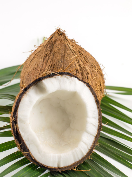Noci di cocco fresche su bianco
 - Foto, immagini