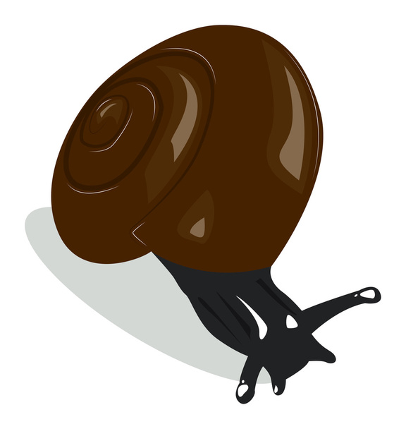 茶色の貝殻とカタツムリ - ベクター画像