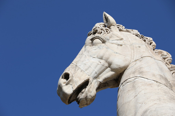 Részlet a Castor szobor bejáratánál a Capitoline Hill Rómában - Fotó, kép