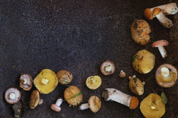 Variety of forest mushrooms - Zdjęcie, obraz