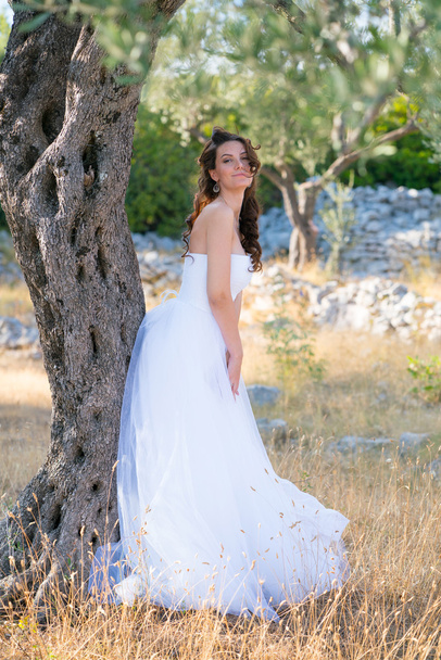 Attractive young woman enjoying her time outside in olive trees. - Fotoğraf, Görsel