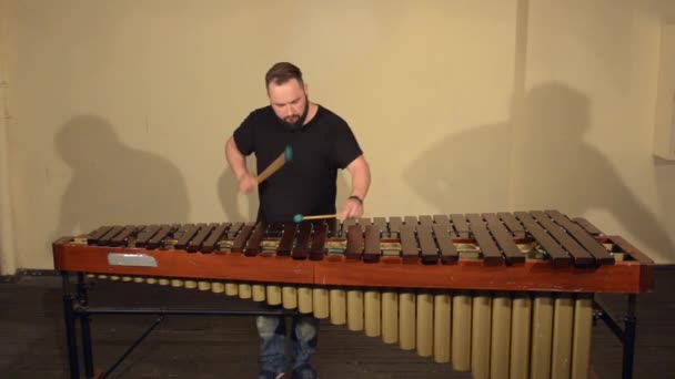 Jeden Player.men bicí s vousy hraje Marimba hudební nástroj. - Záběry, video