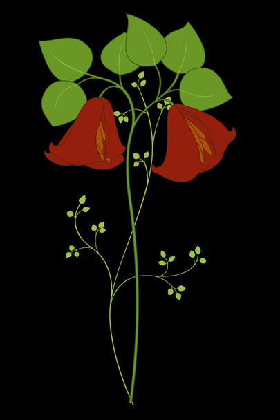 Beautiful flower - Vector, Image