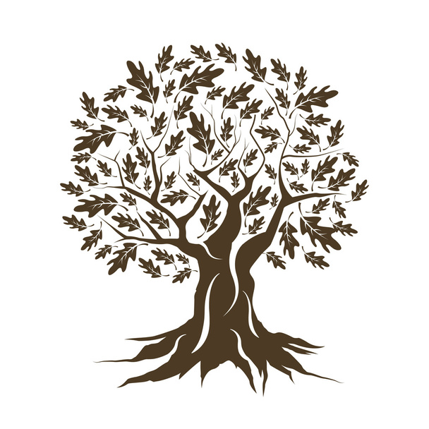 Beautiful brown oak tree silhouette isolated - Vector, Image