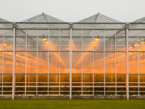 The exterior of a giant commercial glasshouse - Photo, Image