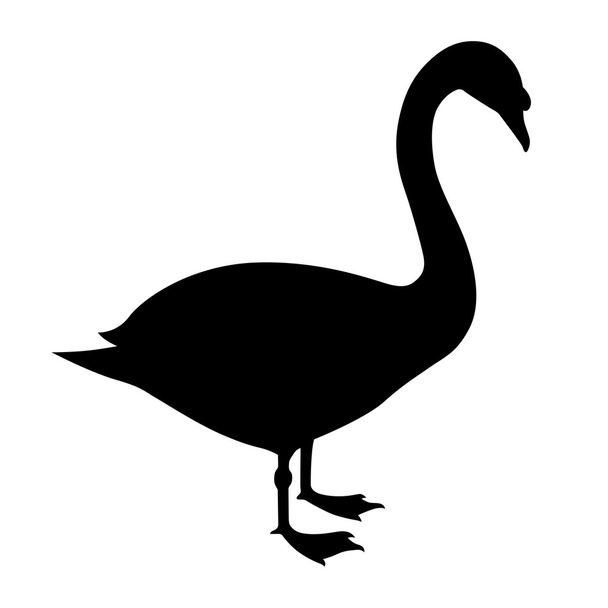 Swan, shade picture - Vector, Imagen