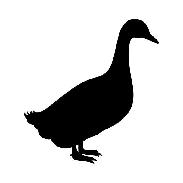 Duck, shade picture - Διάνυσμα, εικόνα