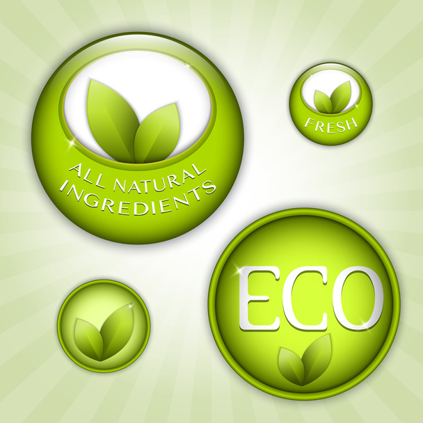 Insignias ecológicas naturales verdes
 - Vector, imagen