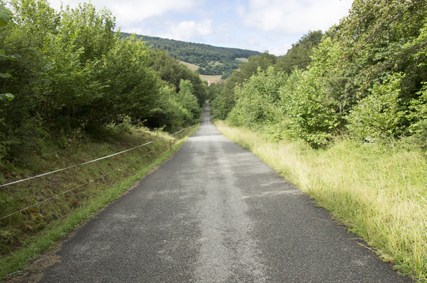 camino de santiago von roncesvalles bis zubiri - Foto, Bild