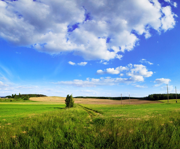 zelené louce panorama ve Vilniusu - Fotografie, Obrázek