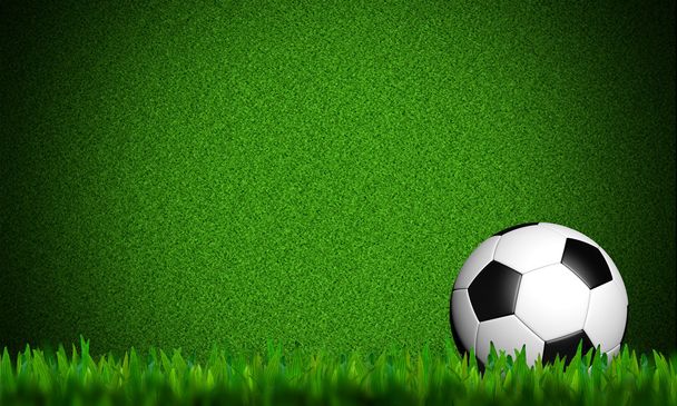 voetbal in groen gras op witte achtergrond - Foto, afbeelding