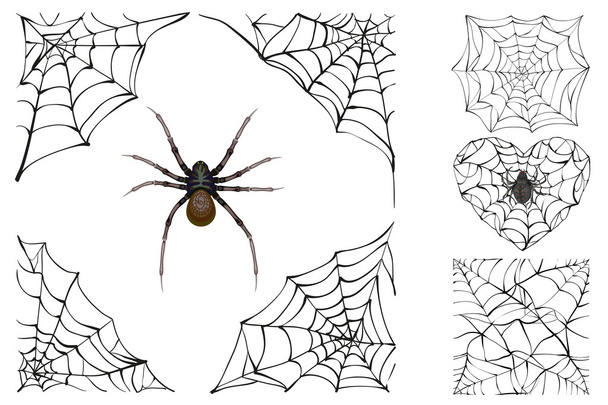 Web and poisonous spider. Set Halloween accessory - Διάνυσμα, εικόνα