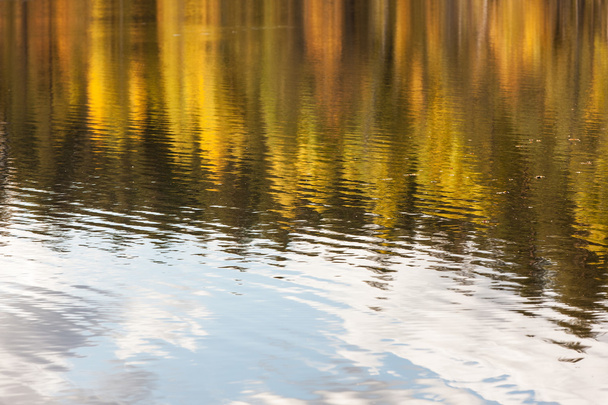 Reflectie van herfstbomen - Foto, afbeelding