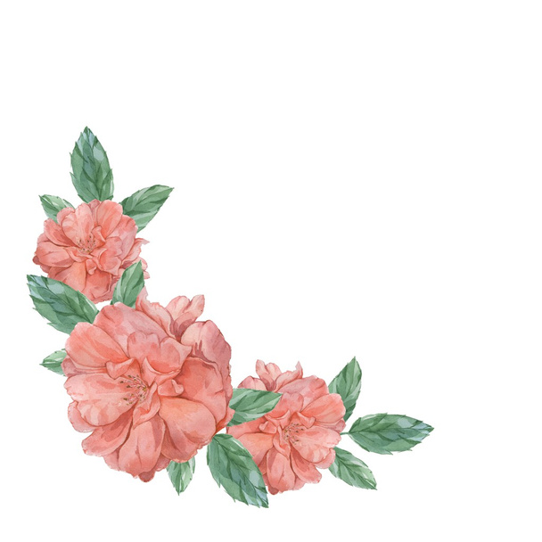  Roses 3. Frame Watercolor illustration. - Foto, imagen