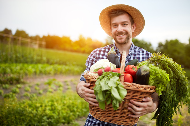 Man holding basket with organic vegetables - Foto, imagen