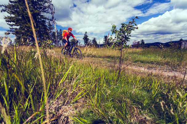 Montanha ciclista andar de bicicleta em florestas e montanhas
 - Foto, Imagem