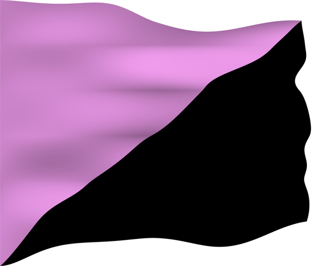 Bandeira Queer anarquista
 - Foto, Imagem