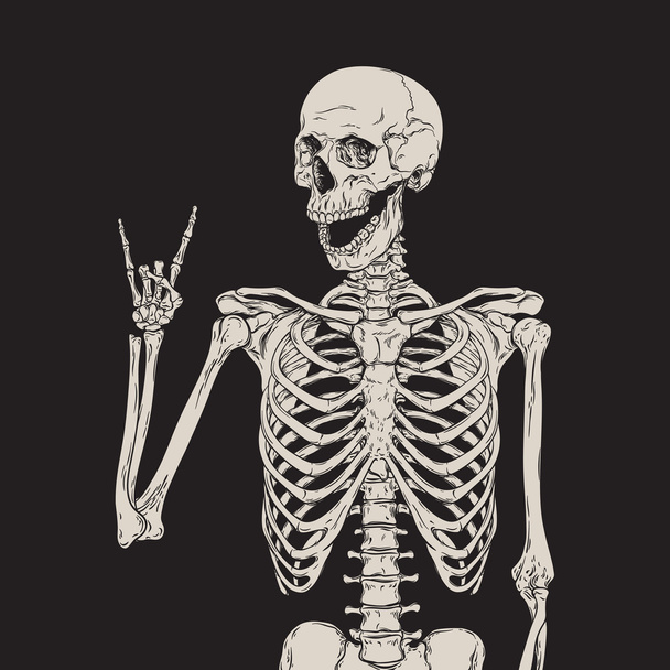 Emberi csontváz jelentő elszigetelt, felett fekete háttér vektor - Vektor, kép