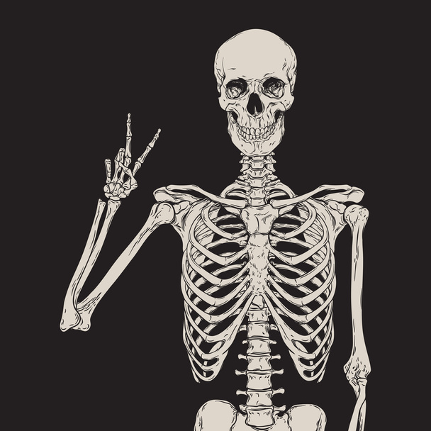 Human skeleton posing isolated over black background vector - Vector, Image