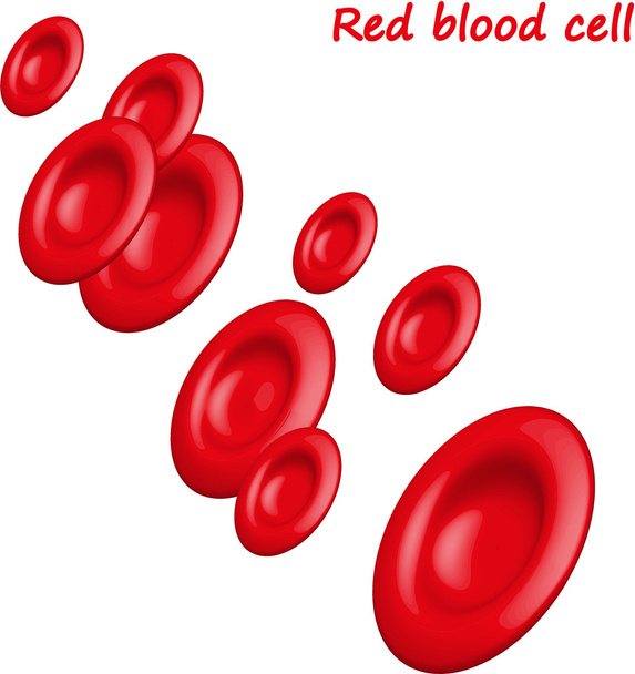 Vörös vérsejtek - Vektor, kép