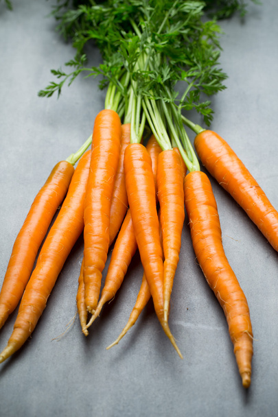 Fresh carrots on the gray backgrounds. - Фото, изображение