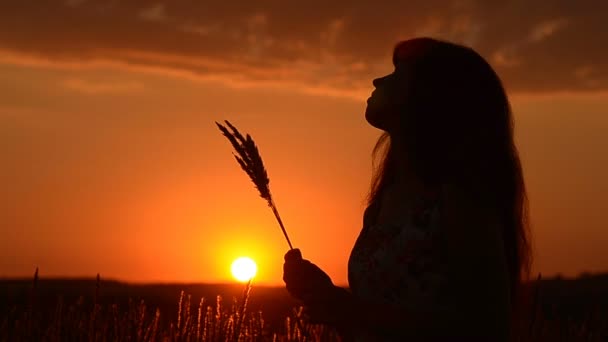 Το κορίτσι με το σιτάρι σε ηλιοβασίλεμα - Πλάνα, βίντεο