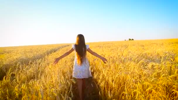 Girl goes with wheat across the field - Materiaali, video