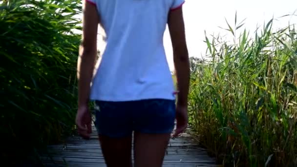 Hoikka nuori nainen kävelee puinen silta kesällä
 - Materiaali, video