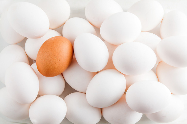 鶏白背景生卵と茶色 - 写真・画像