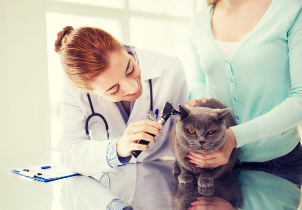 happy woman with cat and doctor at vet clinic - Foto, afbeelding