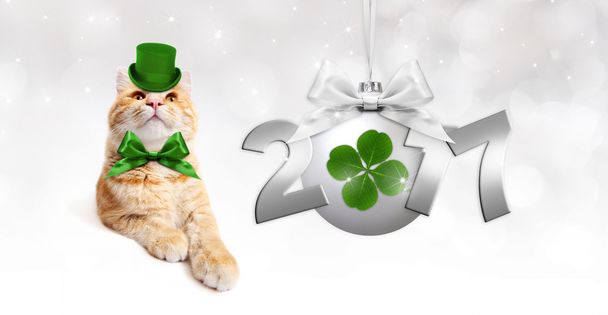 Gato jengibre con bola de Navidad plateada con trébol verde
,  - Foto, imagen