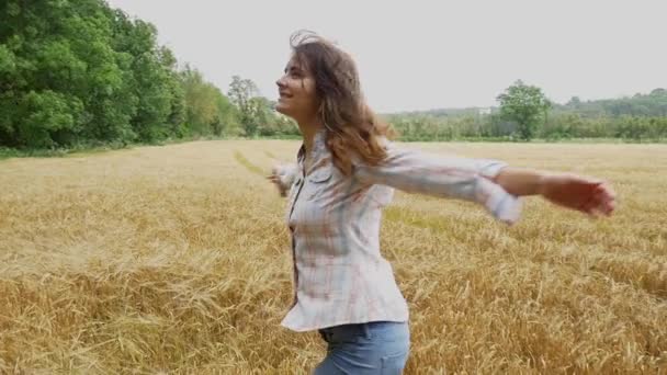  Γυναίκα στο χωράφι με το σιτάρι - Πλάνα, βίντεο