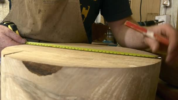 Timmerman werkend met hout  - Video