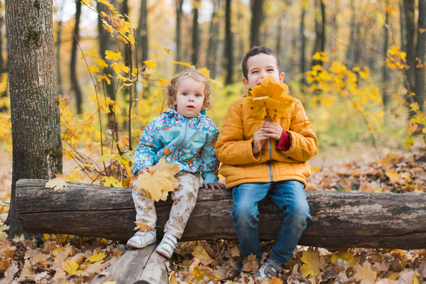 Joyfull kids  in autumn forest - Fotó, kép