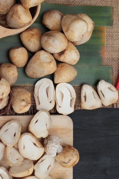 Fresh mushrooms for cooking on wood background. - Photo, Image