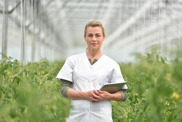 agronomist standing in greenhouse - Photo, Image