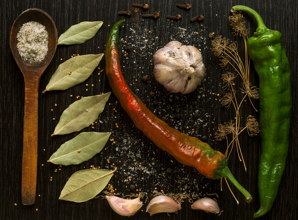 Spices and herbs - Fotografie, Obrázek