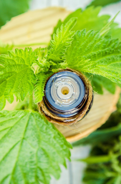 nettles in a small bottle (decoction, tincture, extract, oil). - Photo, Image