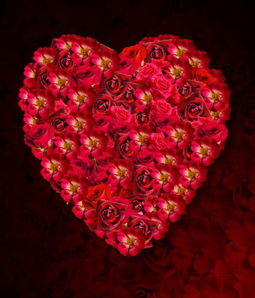 Квіти кохання
 - Фото, зображення