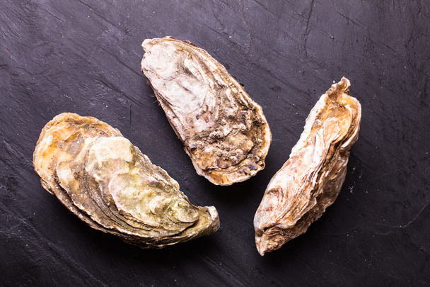 Oysters on slate - Foto, Imagem