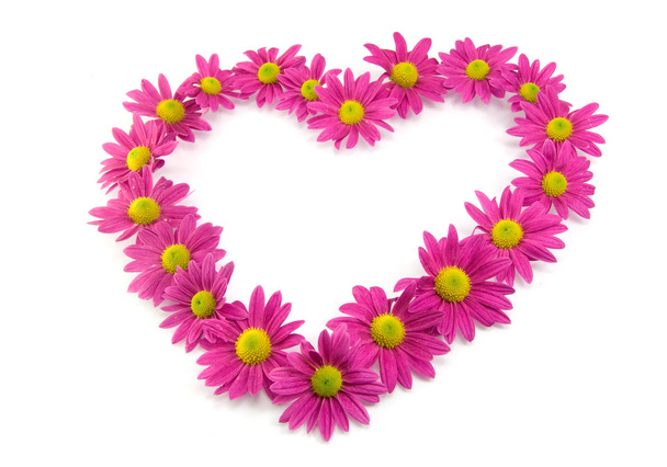 Pink flowers in a shape of a heart - Foto, Imagem