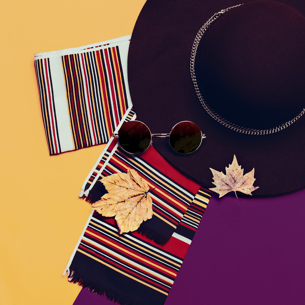 Stylish Autumn Ladies Accessories. Hat, Sunglasses Scarf. Trend  - 写真・画像